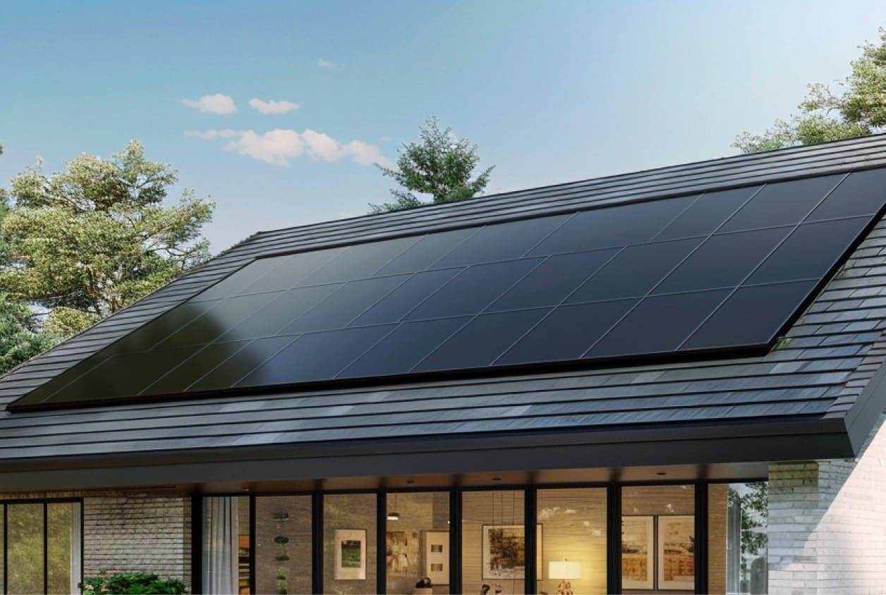 Scientists make remarkable discoveries after studying "green roofs" on buildings: "You can offer unexpected co-benefits".