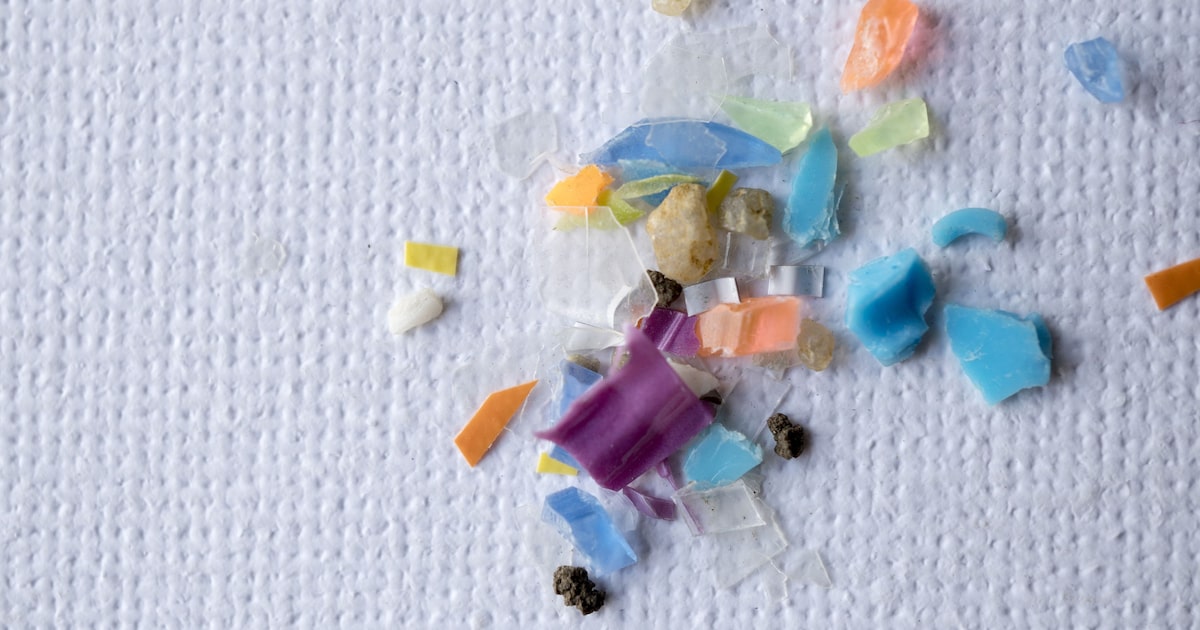 Simple ways to reduce microplastics for cleaner, healthier home