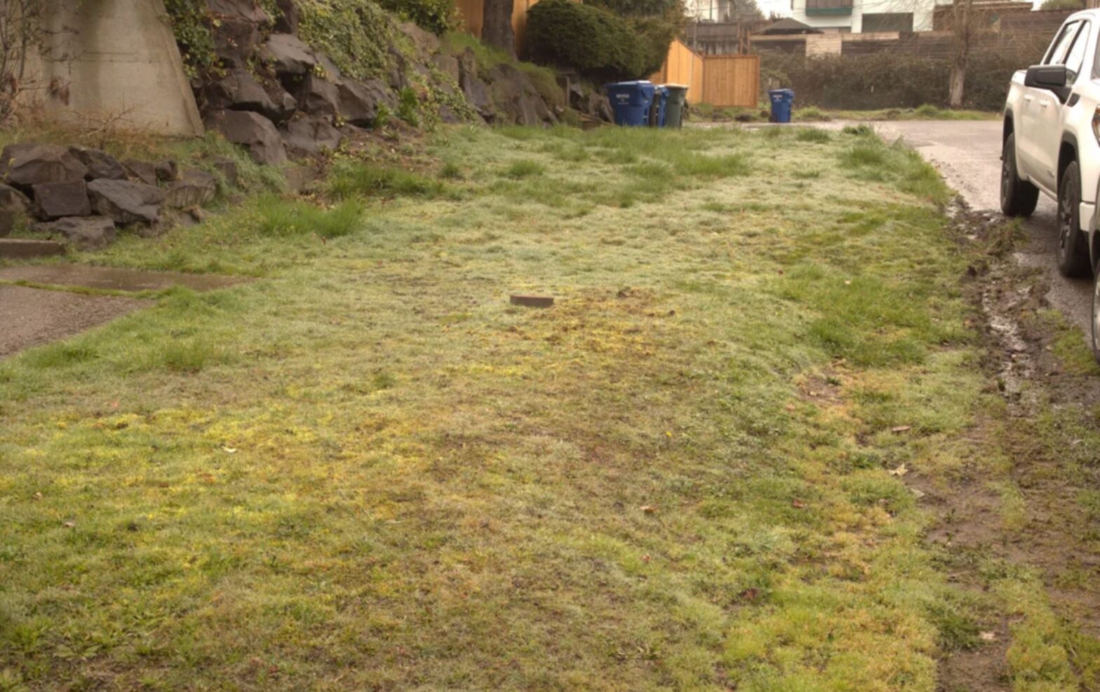 Homeowners share incredible before and after photos after they have turned boring grass stain: "This is fantastic"