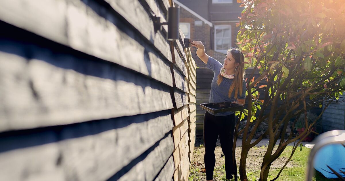 Can a neighbor paint my fence on his side? 7 experts all have the same judgment