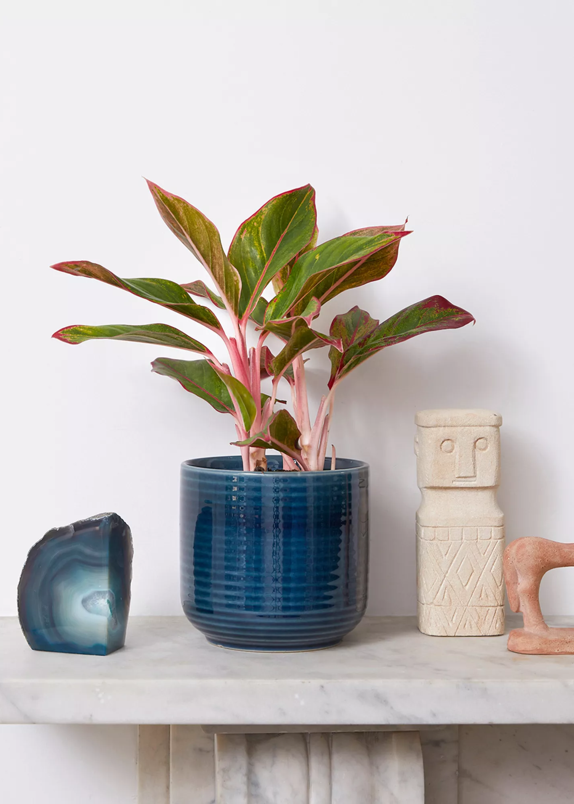 A stone sink with a stopped Chinese evergreen plant, a blue geode and another decor