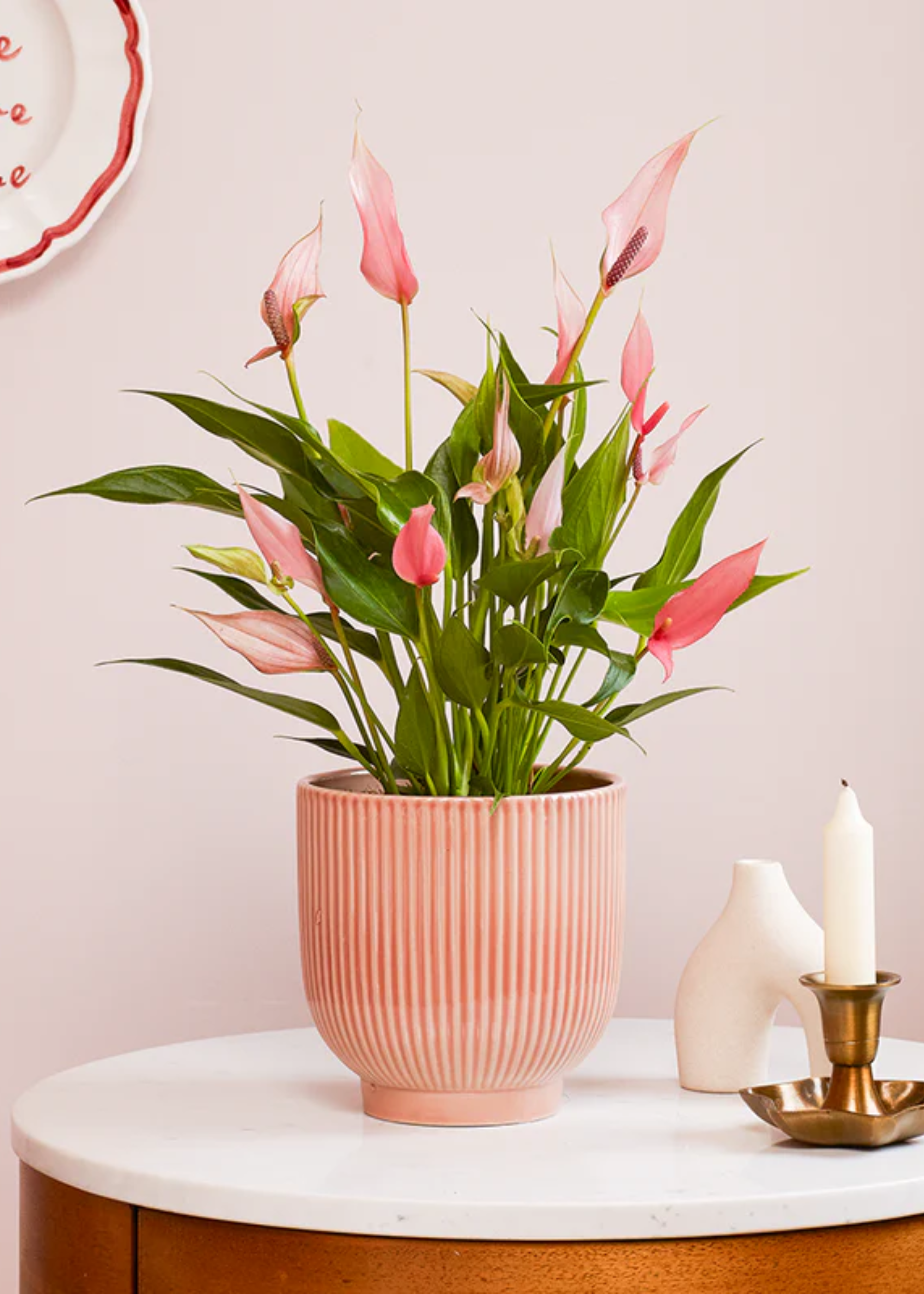 A pot of anthurium on a side table through a candle and a vase near a light pink wall with a hanging plate