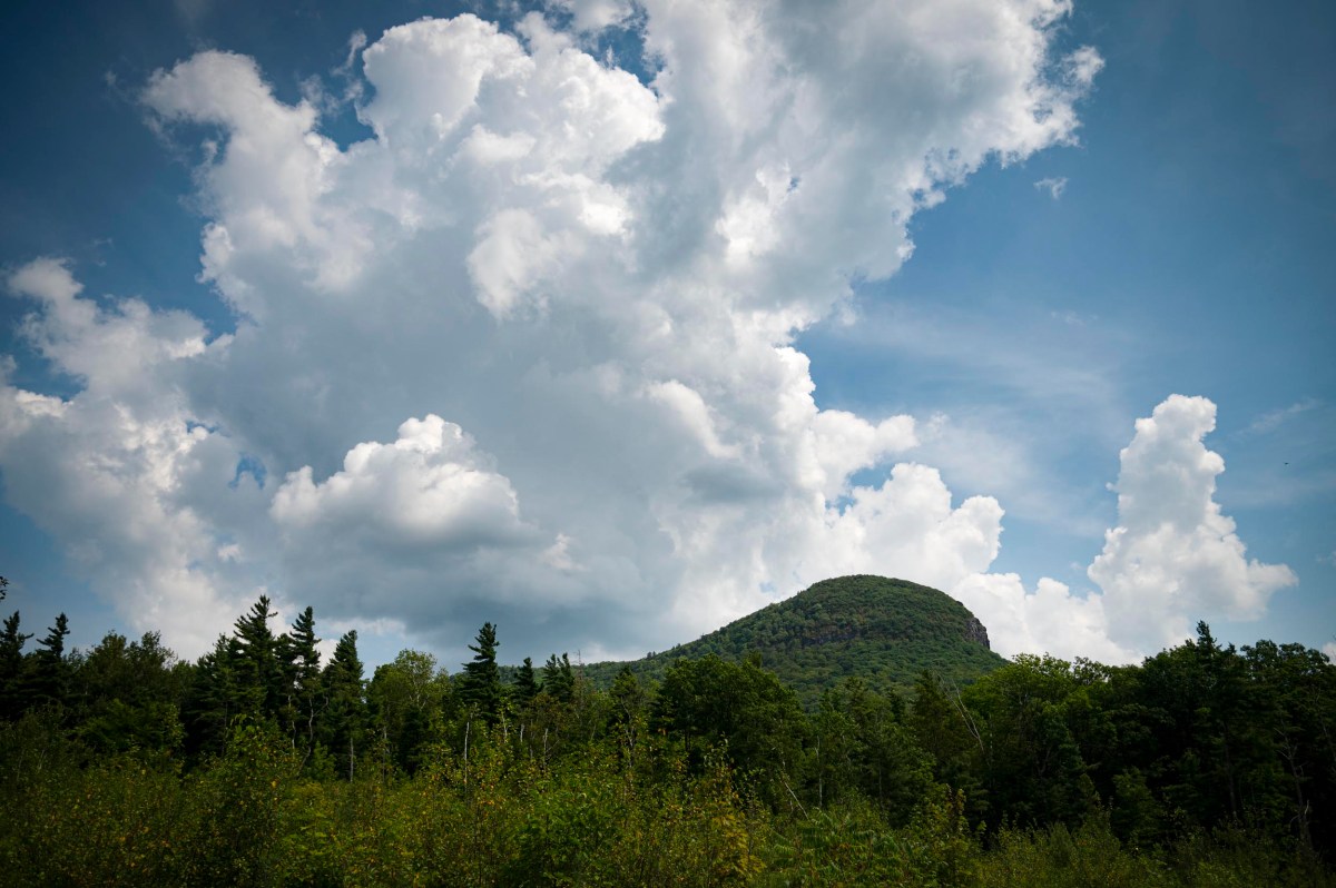 Green, tree -covered hill rises under a partially cloudy sky with large white clouds and blue spots. The dense forest fills the foreground.
