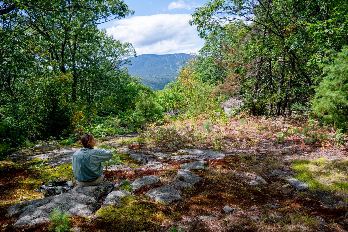 A person sits in a rocky spot, surrounded by trees and looks into a distant mountain with ski paths under a partially cloudy sky.
