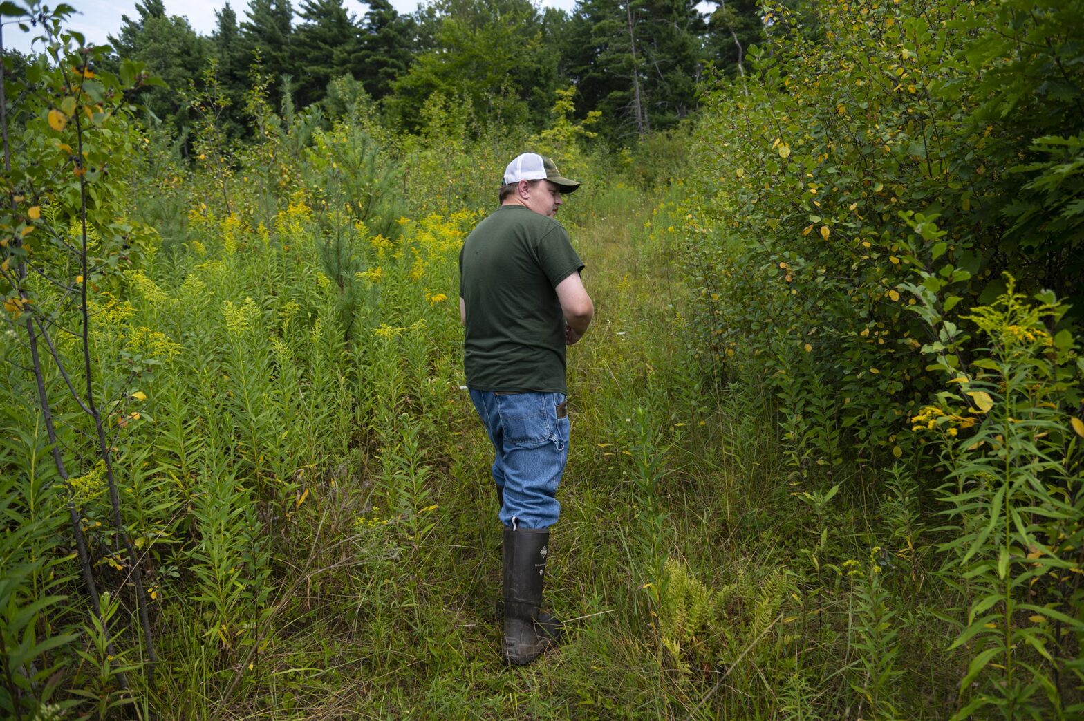 'Patchwork' of nature conservation projects promote the goals of the state and build the wildlife corridor in the south of Vermont