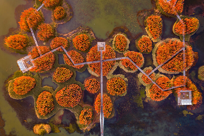 Congjian yus pioneering sponge cities show how the urban design can adapt to climate change