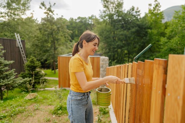 Photo of a young woman who paints a garden fence