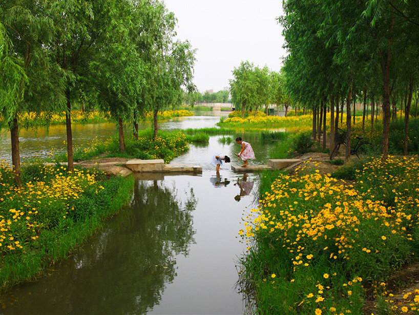 Congjian yus pioneering sponge cities show how the urban design can adapt to climate change