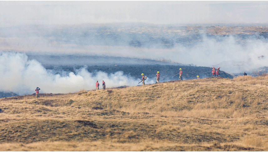 Forest fire damage in English and Welsh landscapes could reach £ 12 million this month