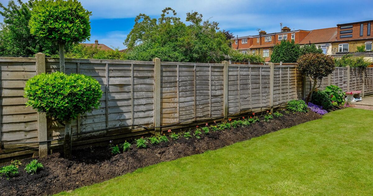 Great Britain Households with garden fences warned of a fine of £ 5,000 to break the rule