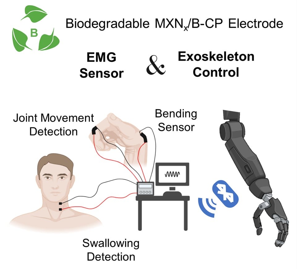 Green Mxene bamboo electrodes for portable sensors