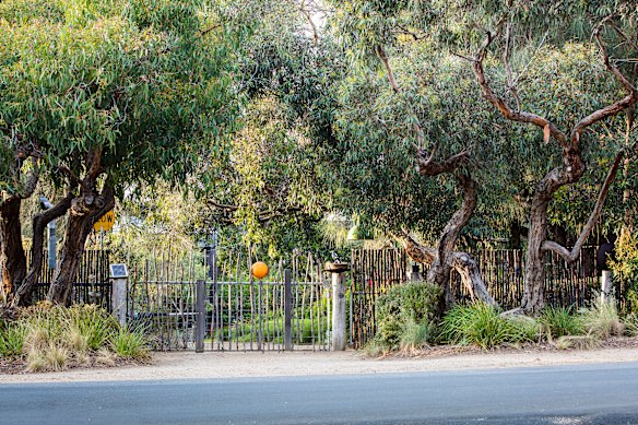 Peter Shaw's Anglese vorgarten feels like spreading to the street.