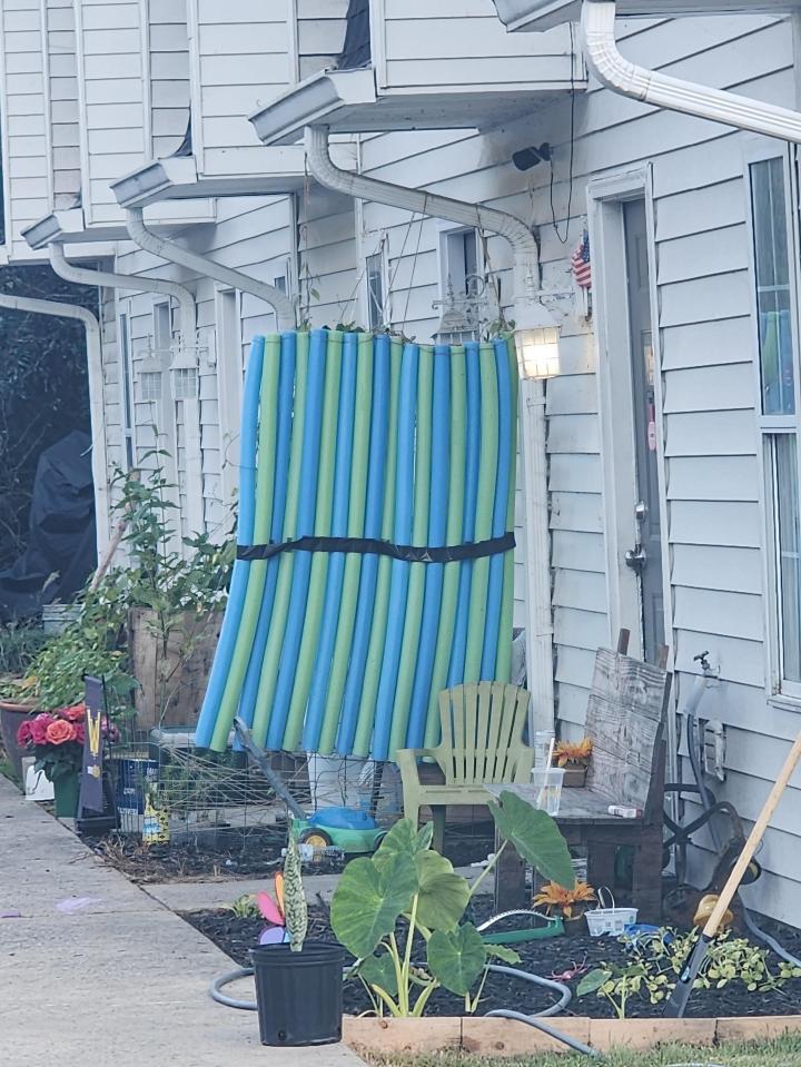 A privacy of blue and green pool noodles.