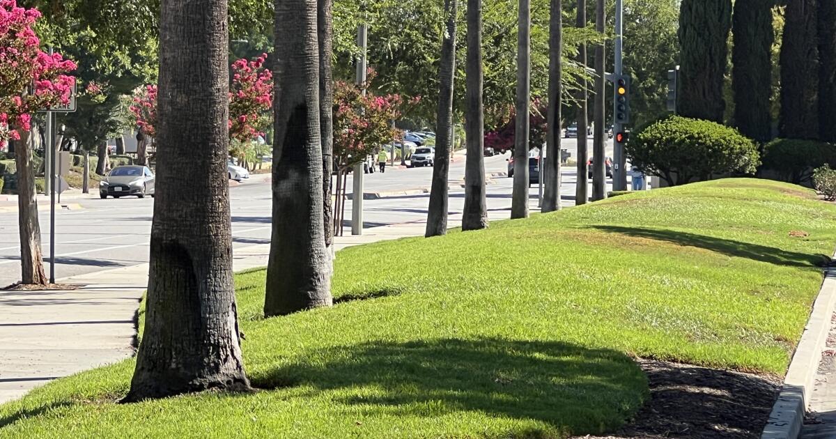 Socal companies and public institutions can get 7 US dollars per square foot to cancel their lawns