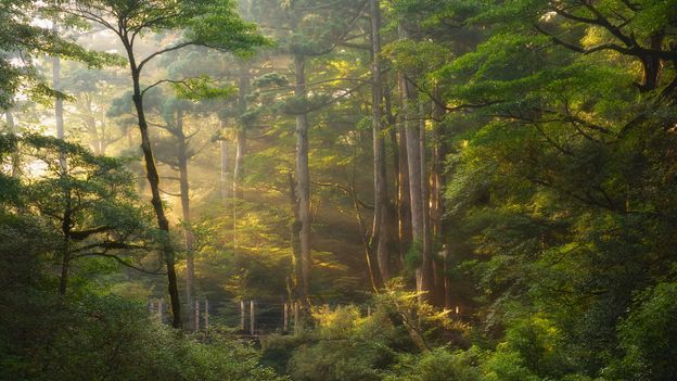 The Japanese landscapes, the Studio Ghibli films inspired
