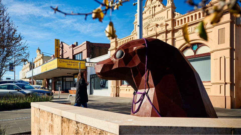 The city of Warrnamboool runs around with people.