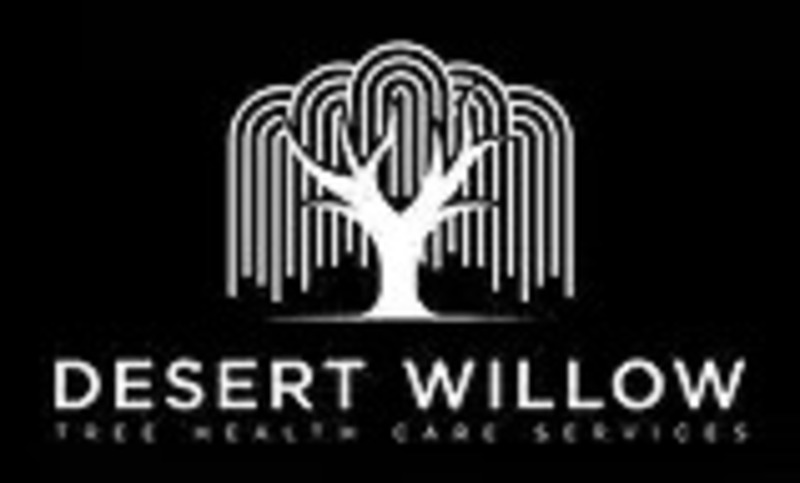 Desert Willow Tree Care reveals the new website in which the leading tree services in Utah County are highlighted