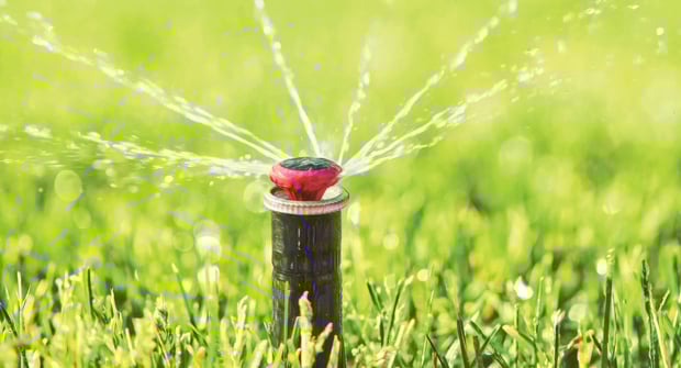 Intelligent irrigation and the war against lawn grass