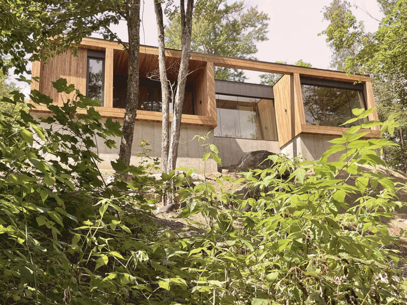 A modern, rectangular wooden house with large windows stands elevated on a concrete base, surrounded by trees and dense greenery.