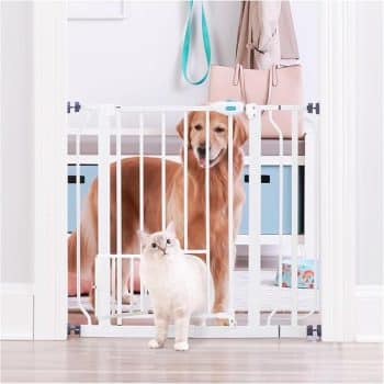 Metal gate from Carlson Pet Products
