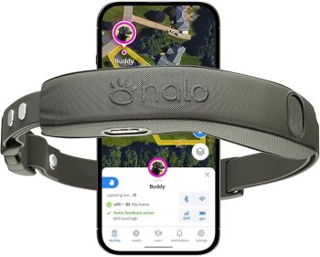 Halo Collar 5, new wireless dog fence