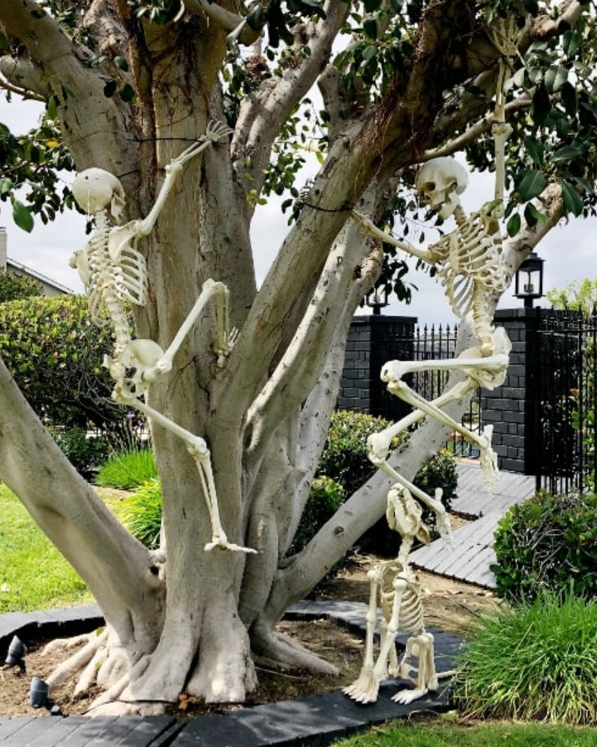 Halloween decorative ideas outdoors outdoors