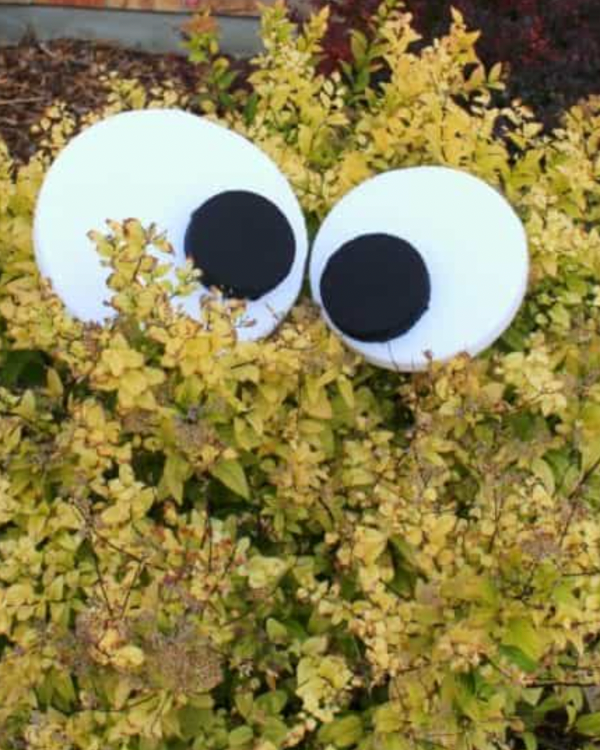 Halloween decorative ideas outdoors outdoors Halloween decorative ideas outdoors outdoors