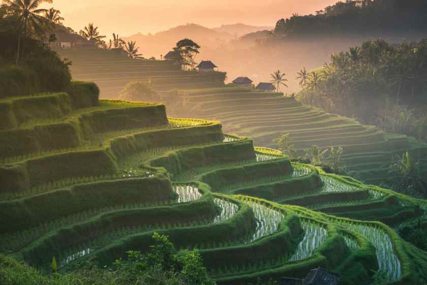Balis Jatiluwih riding breeds shine on the global stage as one of the best sustainable goals