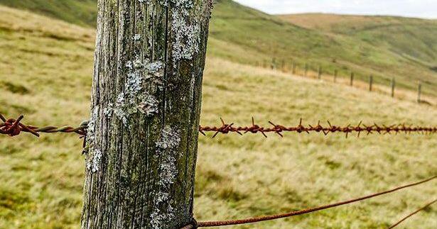 City wants to regulate fences | News