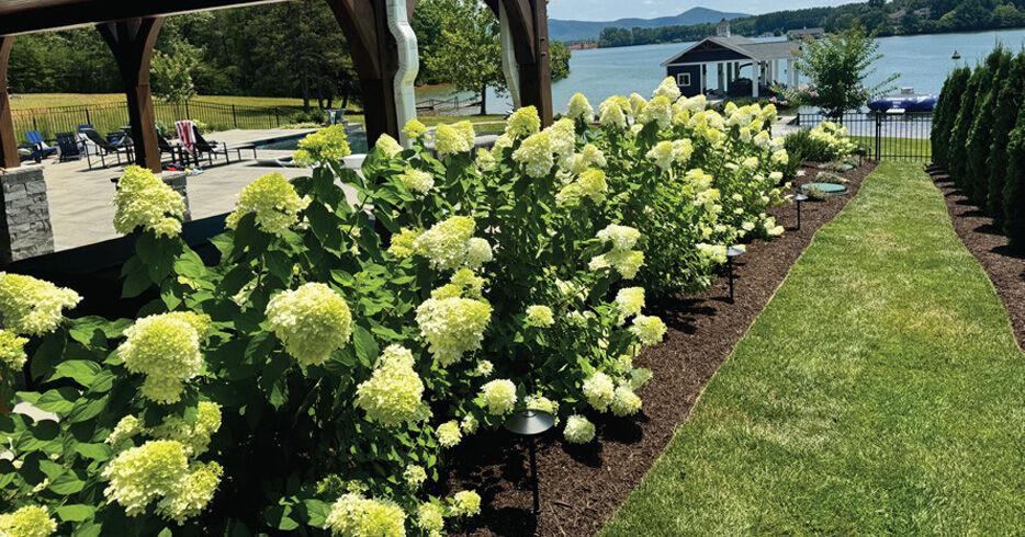 Dream Landscaping brings your landscaping and landscape visions into reality | Local News