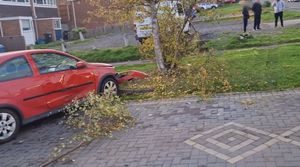 Cars, trees and fences were damaged by the truck