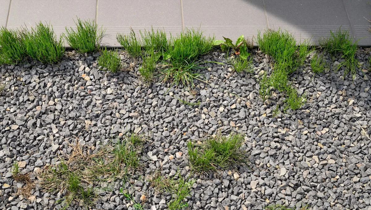 Homeowner Dismayed After Unknowingly Violating Strict HOA Rules: 'Oops'