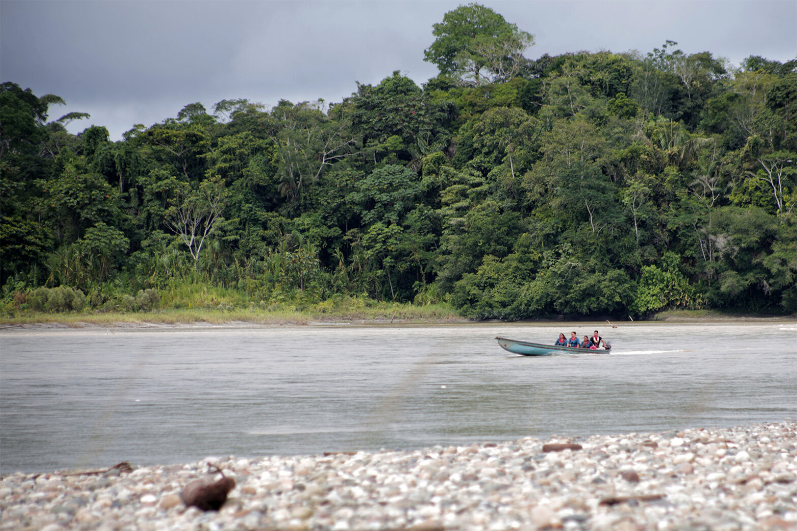 IUCN and KfW launch new initiative to intensify forest restoration in Latin America – press release