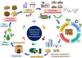 Innovations in sustainable, natural fiber-reinforced composites: surface treatments, material advances, and applications in environmentally friendly packaging and structural systems