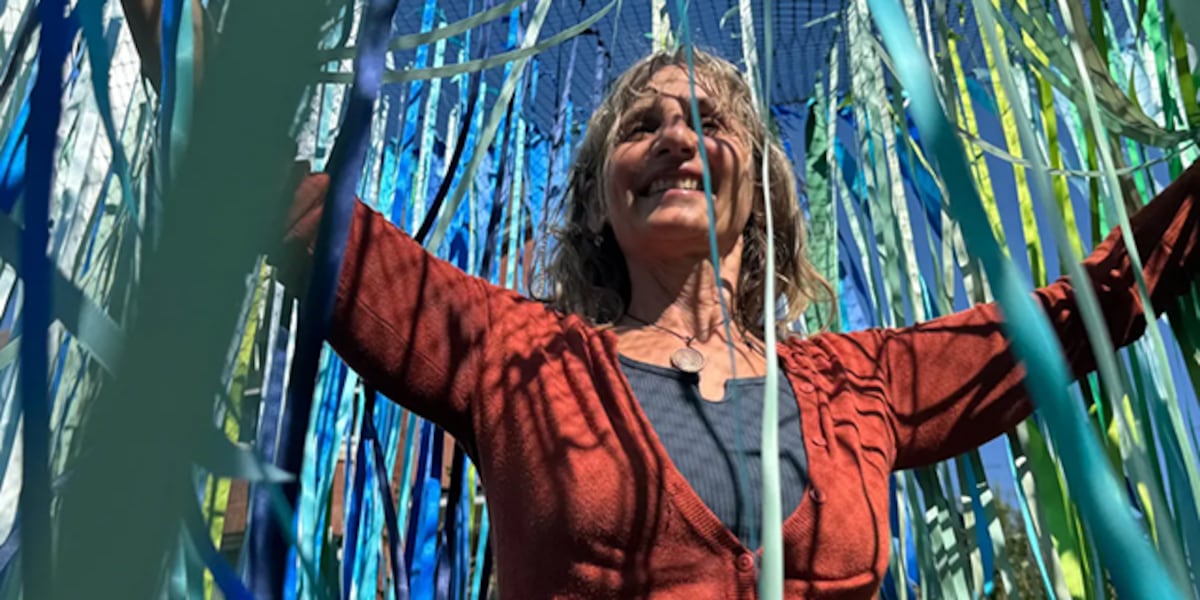 Montpelier Artist Designs Interactive Ribbon Installation