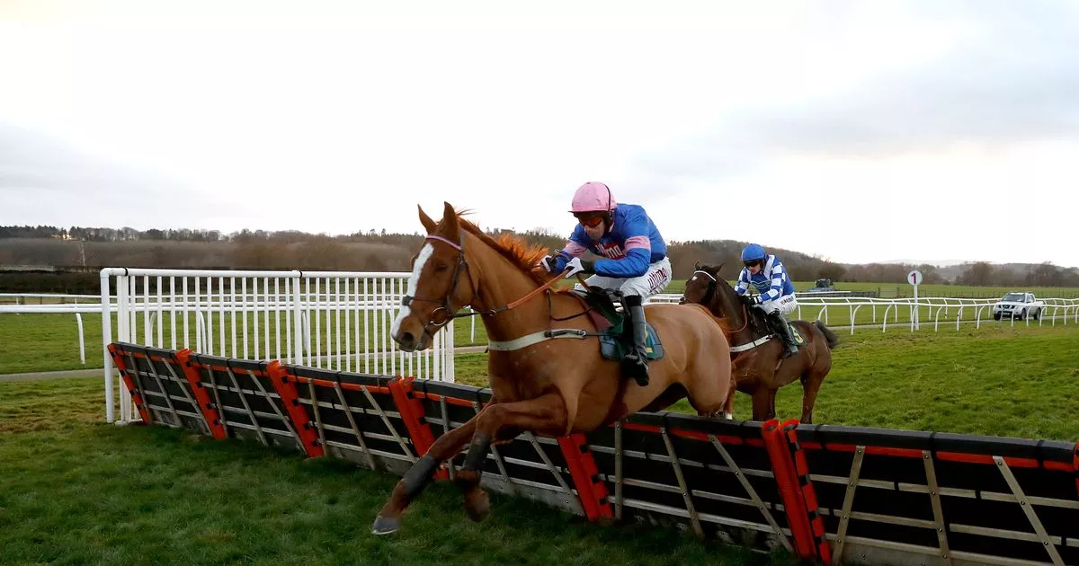 Newsboy's horse racing picks for Monday's five meetings, including Bangor Nap