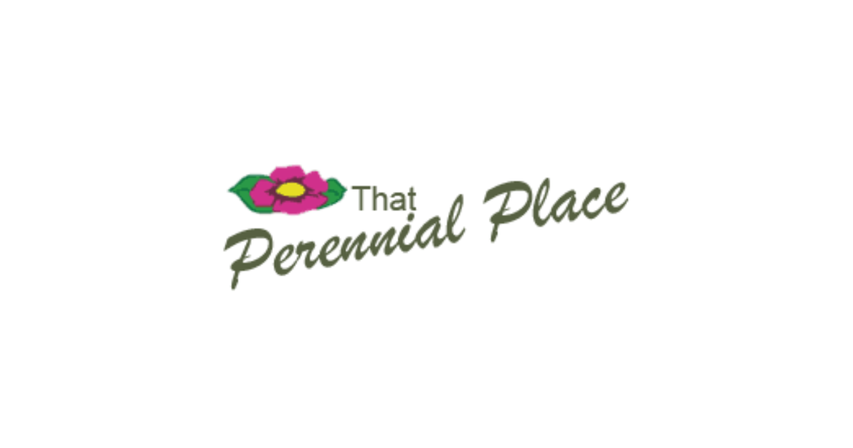 Plan for a Beautiful Spring Now: This Perennial Place Encourages Early Landscape Planning “https://www.wcsjnews.com/news/local/plan-now-for-a-beautiful-spring-that-perennial-place-encourages-early-landscape-planning/Local News” wcsjnews.com