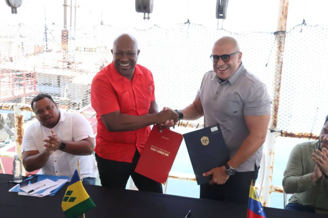St. Vincent presses the Caribbean unit by Alba Azul Project