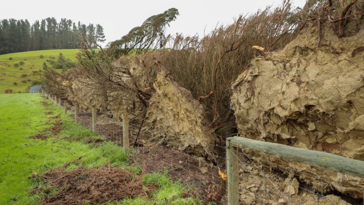 Storms have destroyed virtual farm fences