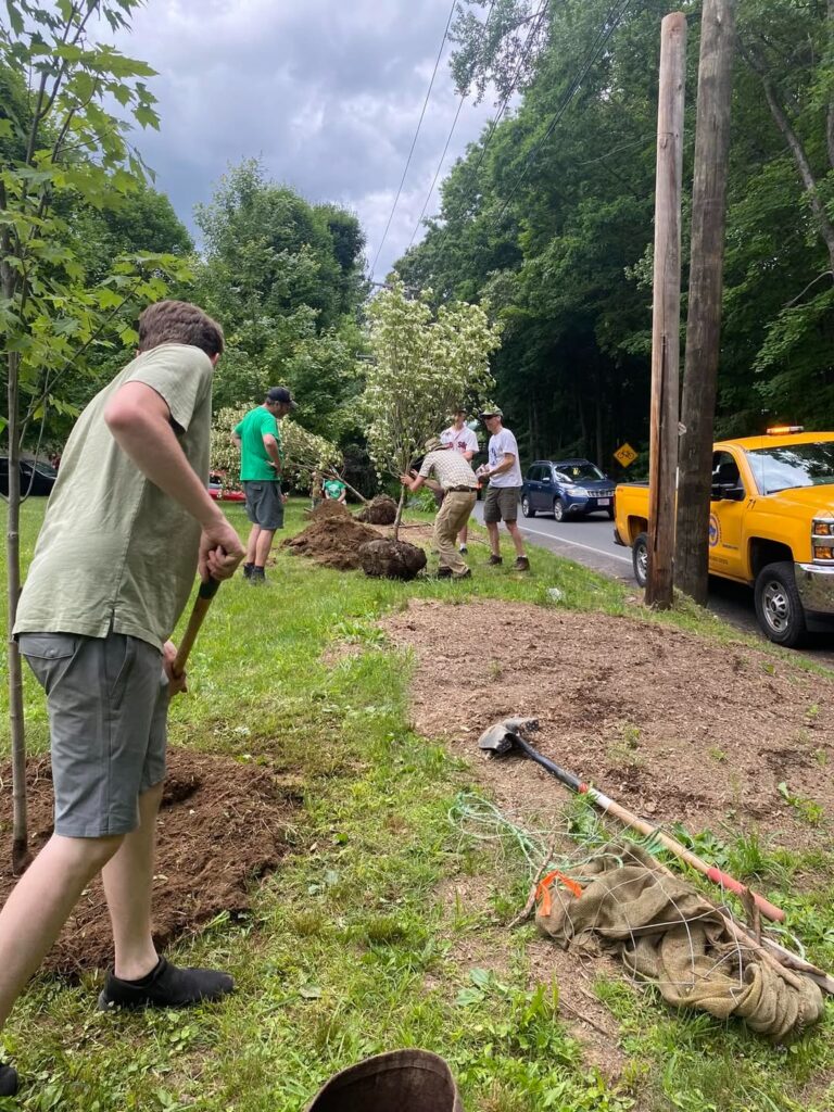 View on Views: The work of our Shade Tree Committee – Making Amherst greener, cooler and more beautiful.