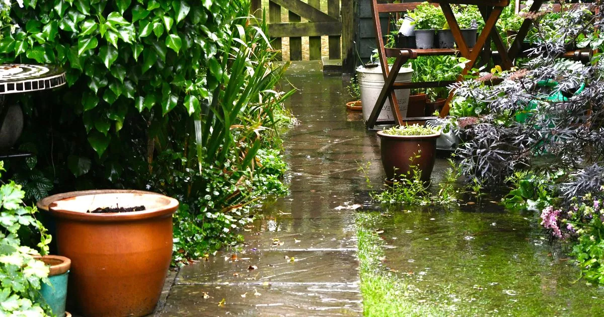 Welsh households now urged 4 tasks to protect gardens from hard weather