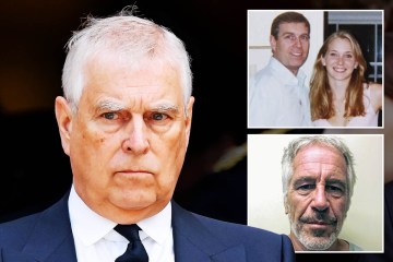 The French are spending £132,000 of British taxpayers' money to build a fence to stop migrants harassing locals in a town near Calais