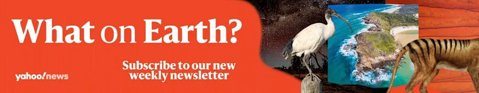 10,000 kilometers of fences across Australia protect land and animals from catastrophic problems