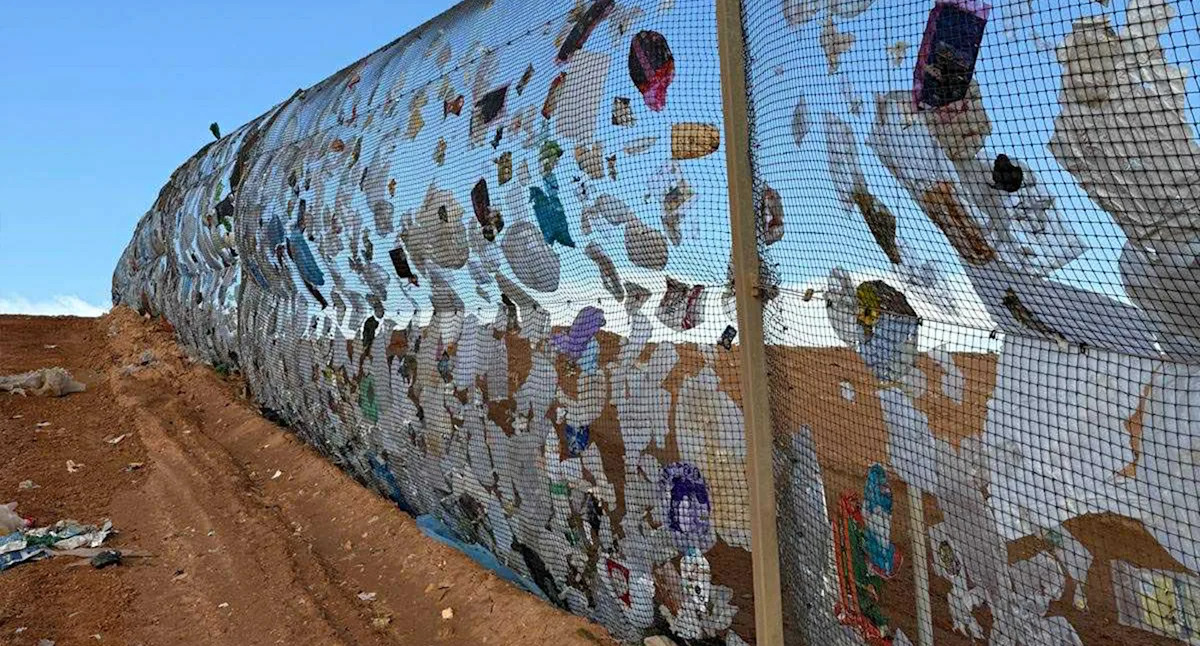 10,000 kilometers of fences across Australia protect land and animals from catastrophic problems