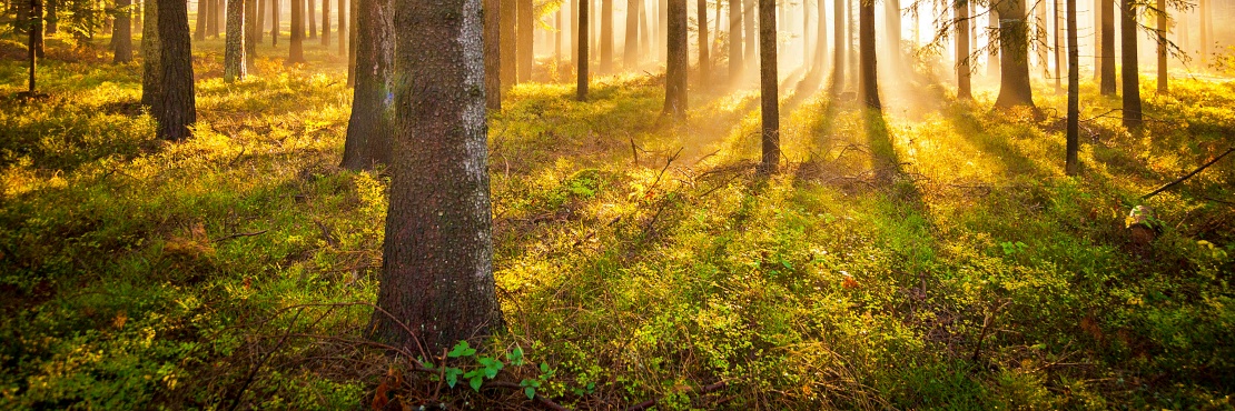 Our November 2025 newsletter is here! When nature fails, we all pay + more...