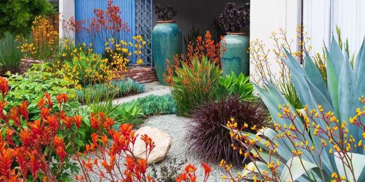 Mother and daughter transform the backyard into a native plant paradise