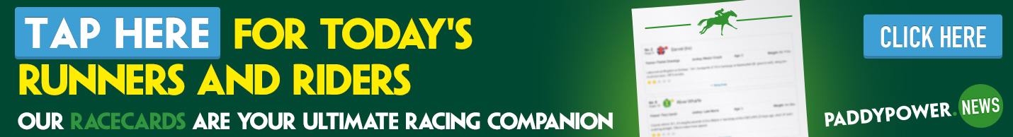 Paddy Power Gold Cup tips and runners guide for Cheltenham 2.20 - Paddy Power News
