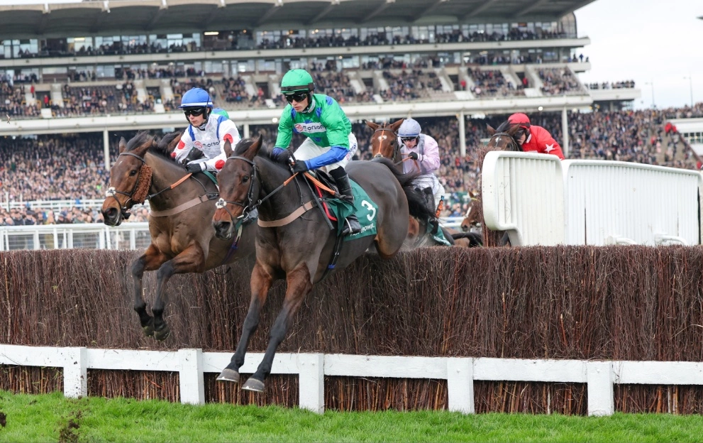 Paddy Power Gold Cup tips and runners guide for Cheltenham 2.20 - Paddy Power News
