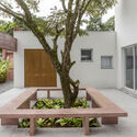 © Rafael Renzo Waldhaus / RAWI Arquitetura + Design - interior photography, garden, concrete, courtyard