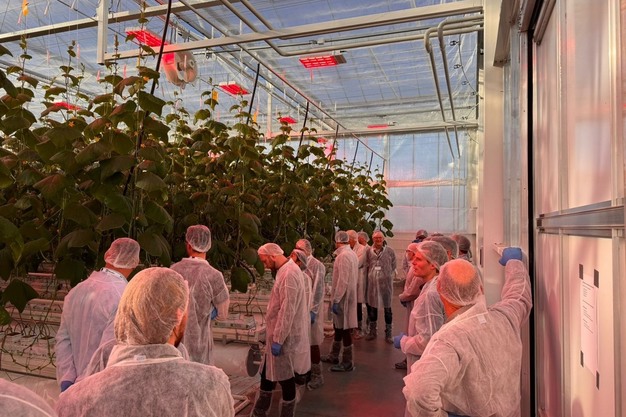 At the 27th Green Expert Platform, experts will address the increasing water and root zone problems